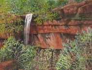 Zions Lower Falls