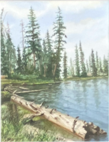 Uinta Fishing
