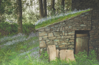 Old Shed