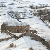 Viking Hay Barn